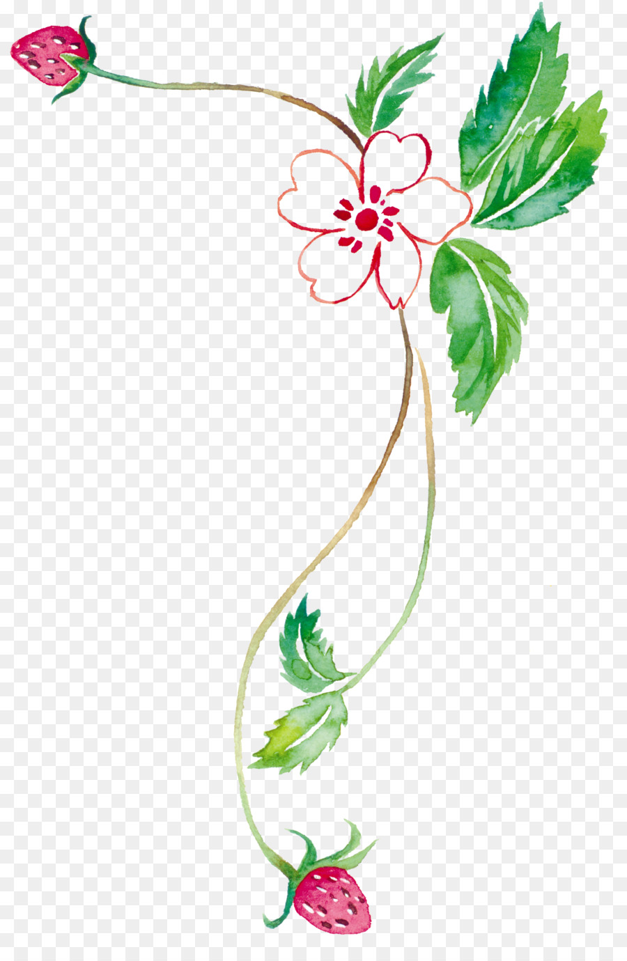 900x1380 Watercolor Painting Tabloid Clip Art - Watercolor Vines