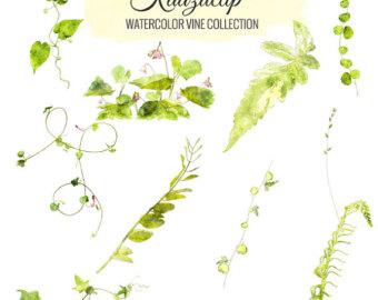 340x270 Watercolor Vine Etsy - Watercolor Vines