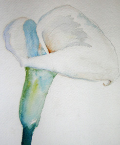 246x297 Fine Art, Flower Composition, Calla Lilies, John Held, Vintage - Watercolor Vintage