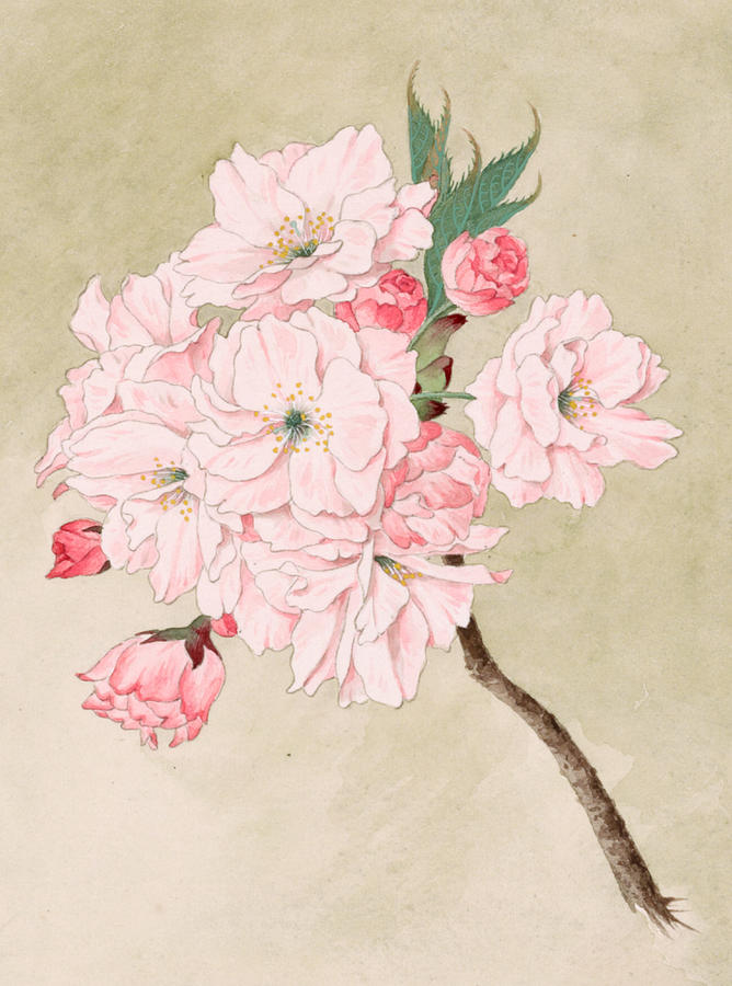 668x900 Fukurokuju - Watercolor Vintage