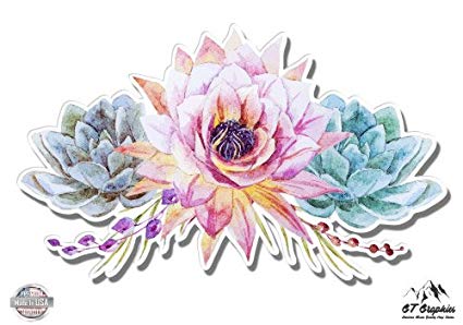 425x298 Succulents Flowers Cute Watercolor - Watercolor Vinyl