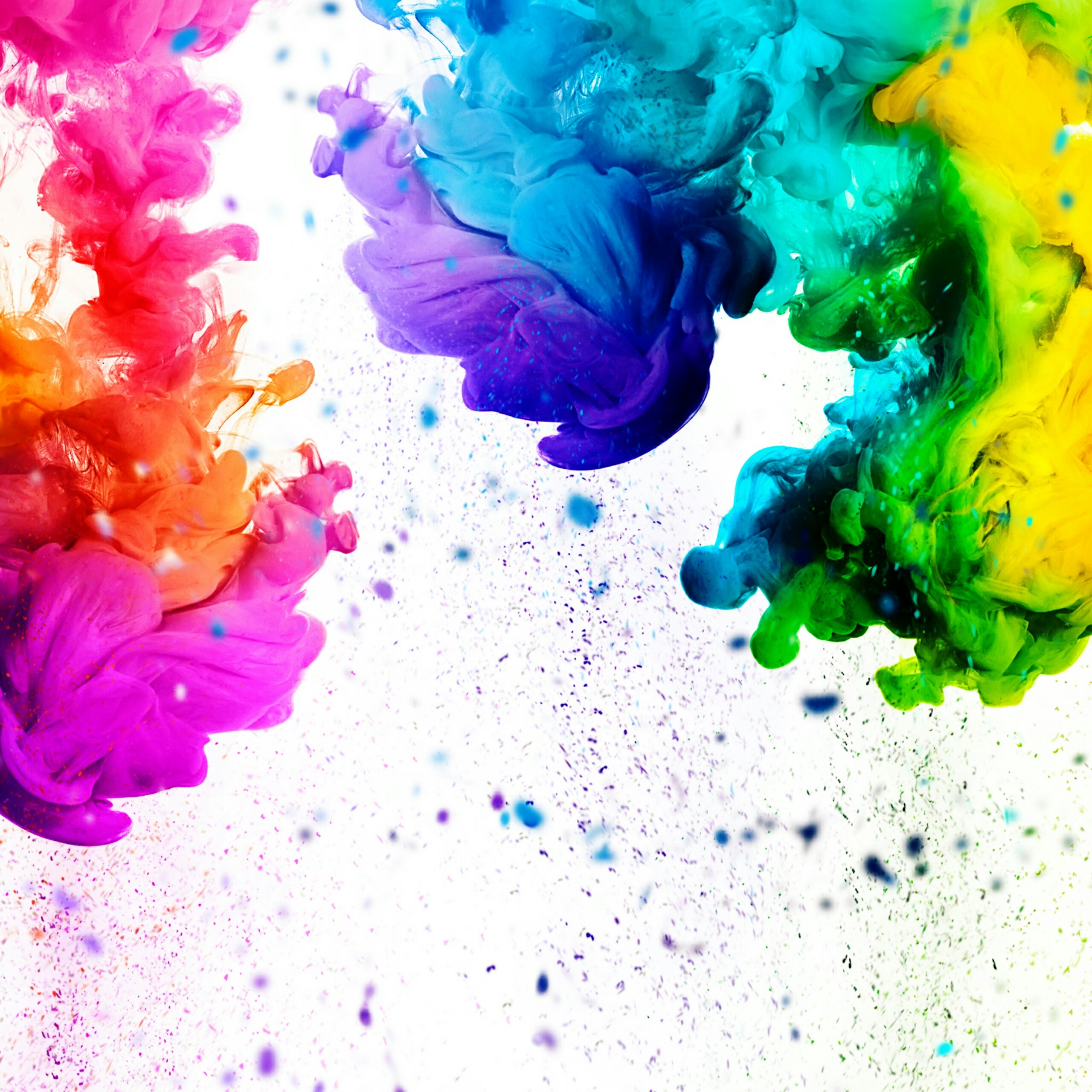 2560x2560 A Colorful Splash Abstract Qhd Wallpaper 2 - Watercolor Wallpaper Splash
