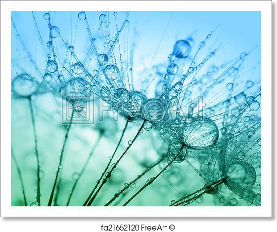 560x470 Free Art Print Of Abstract Macro Photo Of Plant Seeds With Water - Watercolor Water Drops