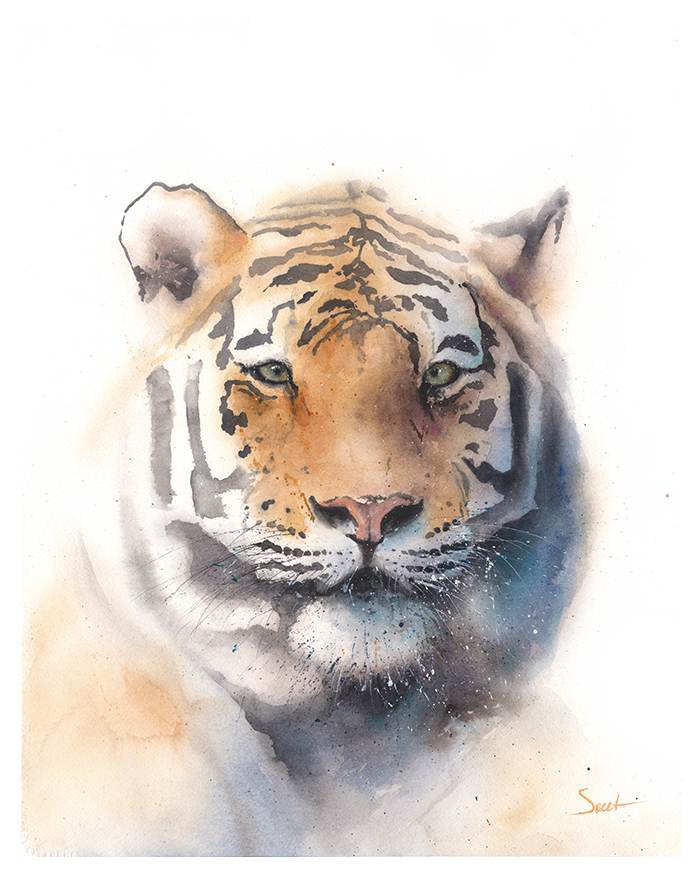 700x875 Featured Work Watercolor Animal Paintings - Watercolor Watercolor