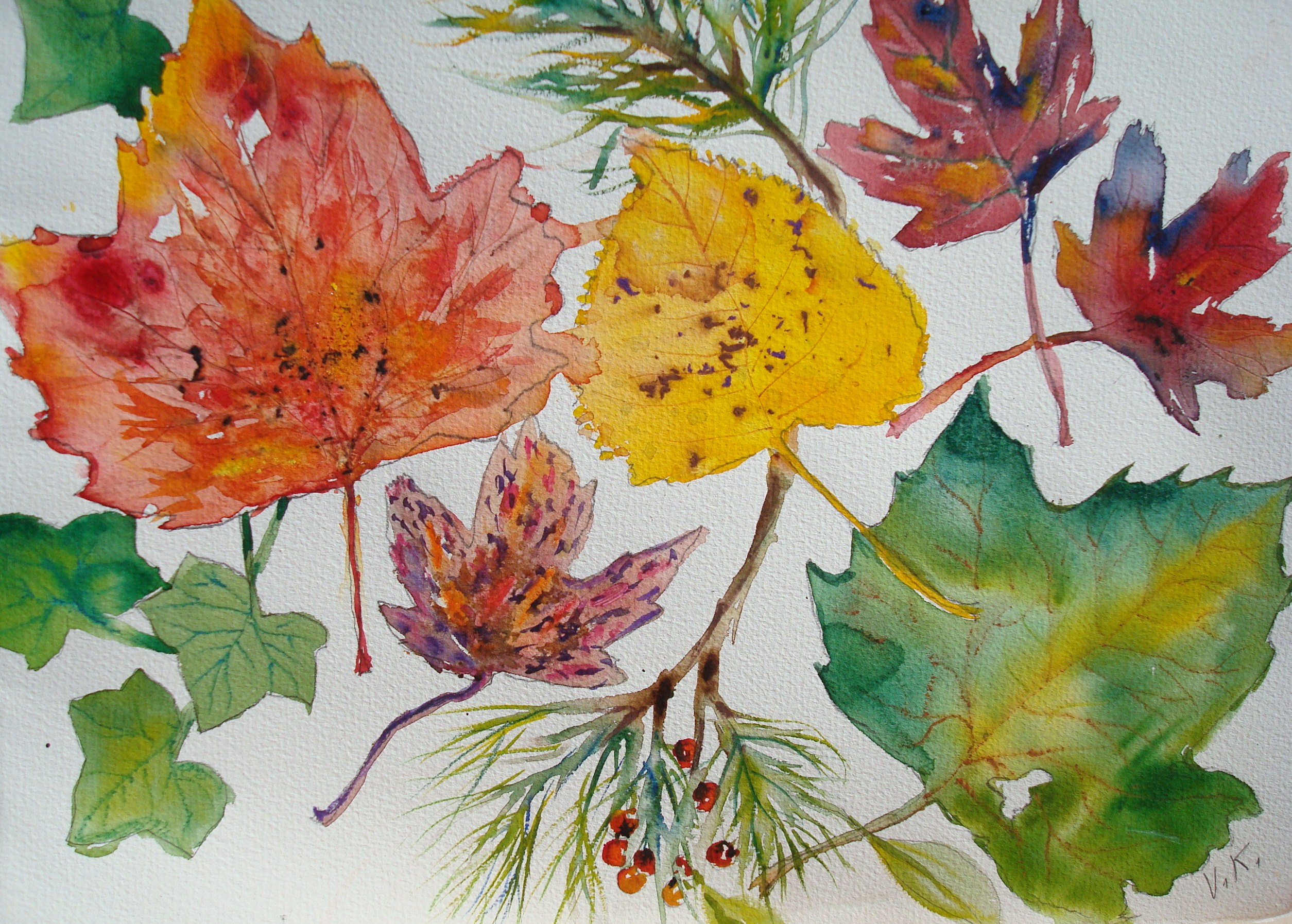 2509x1795 How To Paint Fall Leaves In Watercolor 7 Steps - Watercolor Watercolor