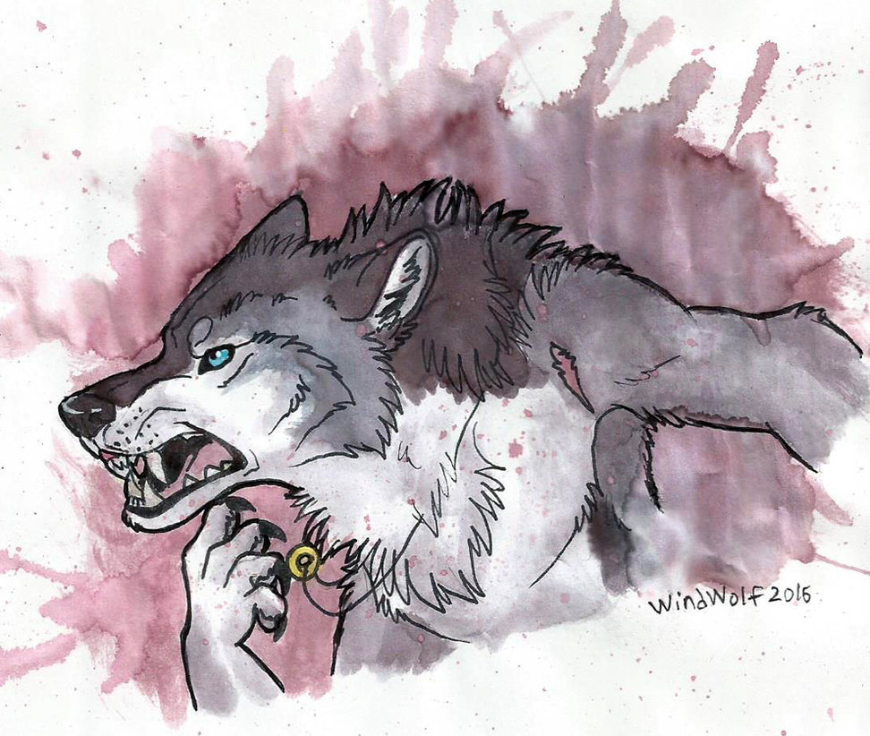 972x822 Watercolor Werewolf By Windwo1f - Watercolor Werewolf