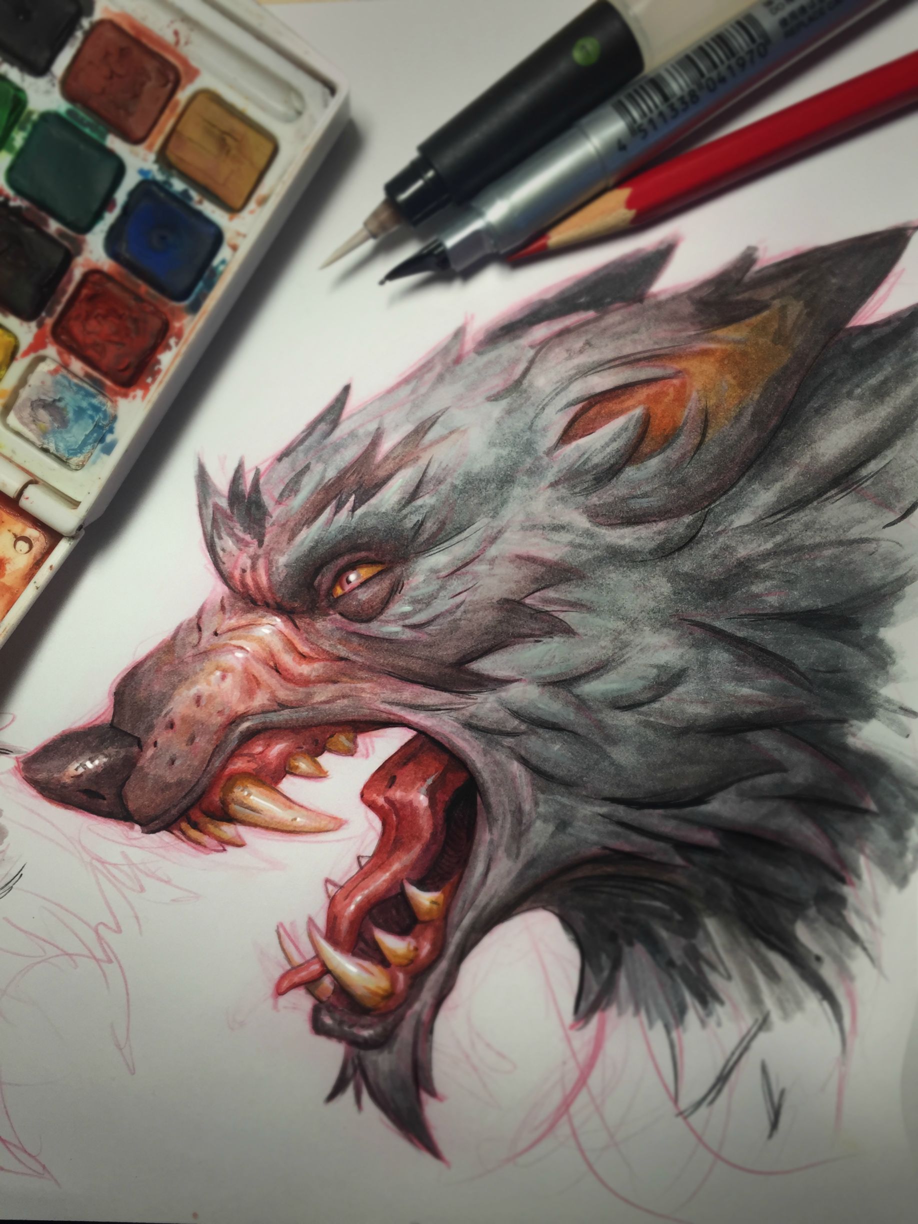 1836x2448 Finished Up A Little Watercolor Painting Of A Wolf - Watercolor Werewolf