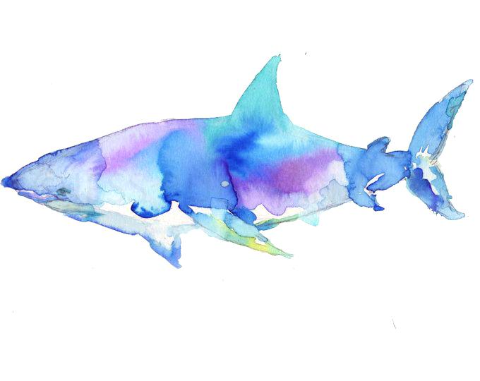 680x540 Shark Pictures To Print Packed With Great White Watercolor Print - Watercolor Whale Shark