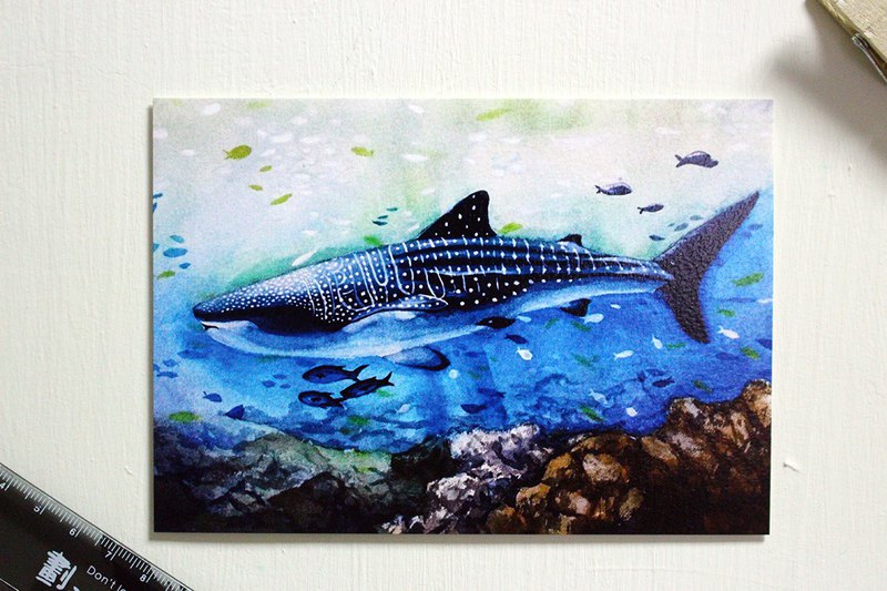 800x533 Tofu Shark Spot Spot Whale Shark Postcard Watercolor - Watercolor Whale Shark
