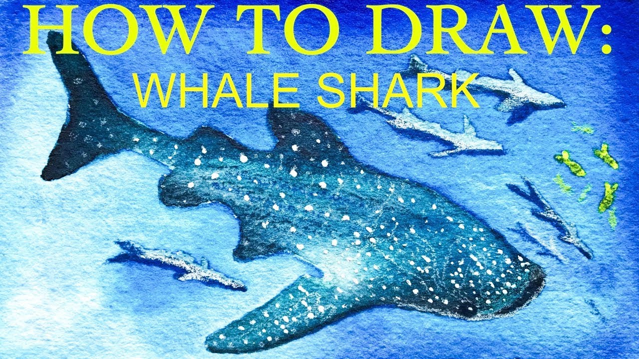1280x720 Whale Shark Watercolor Speedpaint Watercolor Tips (With My - Watercolor Whale Shark
