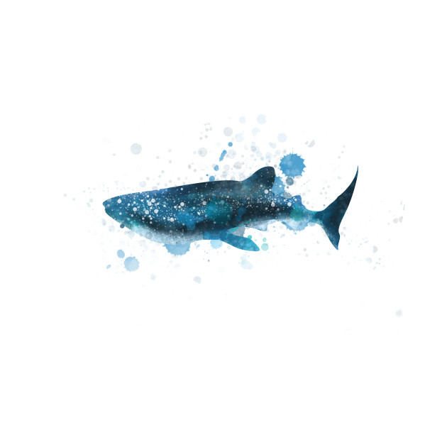 630x630 Whale Shark Watercolor - Watercolor Whale Shark