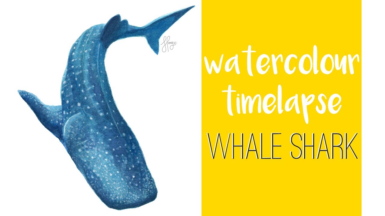 1280x720 Whale Shark Watercolour Painting Timelapse - Watercolor Whale Shark
