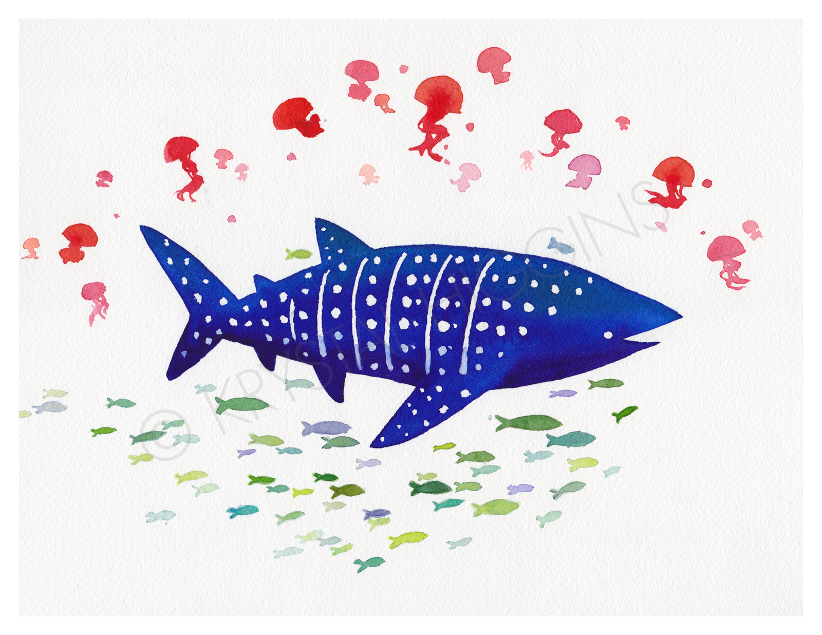 1600x1236 Whale Shark Amp Friends Krystal Higgins - Watercolor Whale Shark