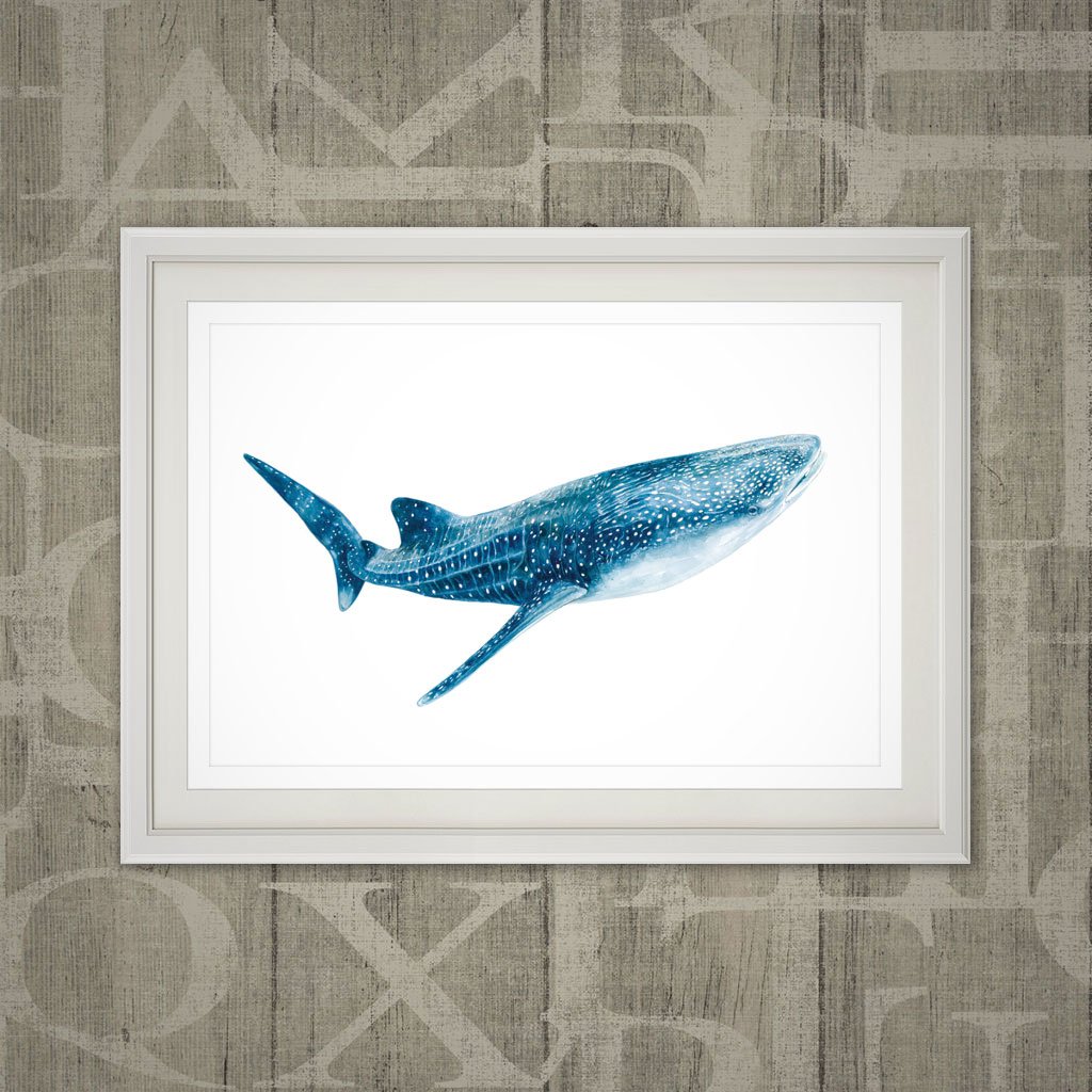 1024x1024 Whale Shark Print Wa Naturally - Watercolor Whale Shark