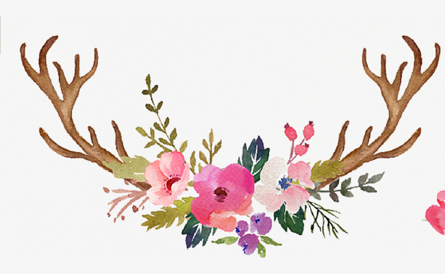 650x400 Hand Painted Antlers With Wild Flowers, Wildflowers, Hand Painted - Watercolor Wildflowers
