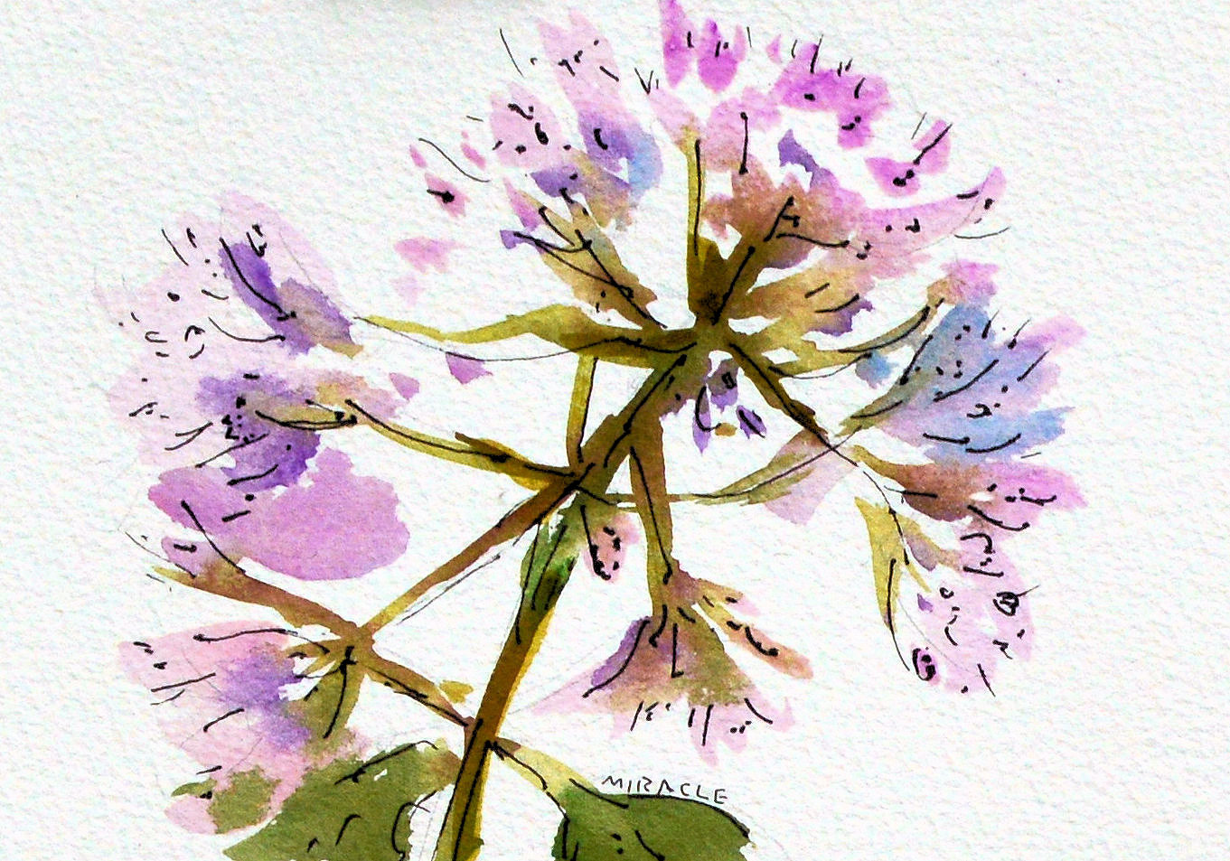 1361x953 Painting Wildflowers My90acres - Watercolor Wildflowers