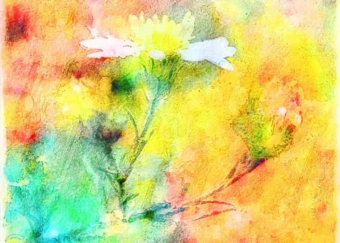 700x500 Watercolor Wildflowers - Watercolor Wildflowers