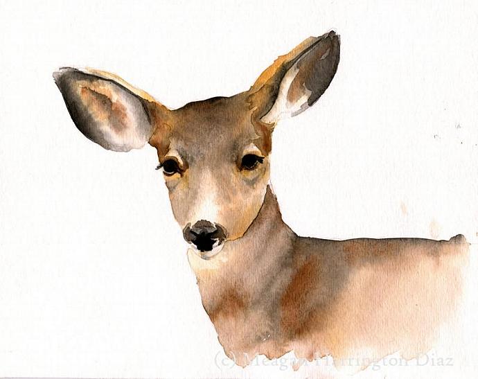 690x547 Deer Painting - Watercolor Wildlife