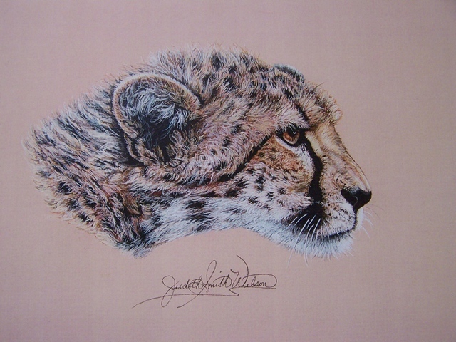 640x480 Judith Smith Wilson Artwork Duma The Cheetah Original - Watercolor Wildlife