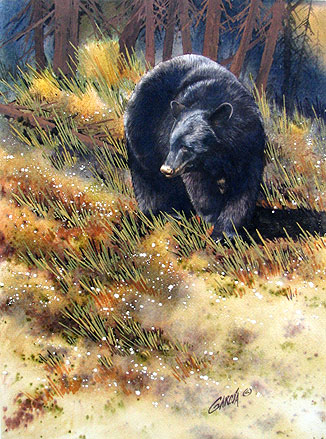 326x439 Original Watercolor Paintings Wildlife Artist Joe Garcia - Watercolor Wildlife