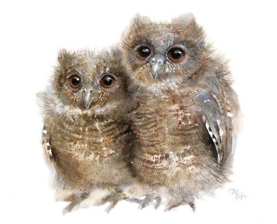 570x461 Owl Items By Miraguerquin - Watercolor Wildlife