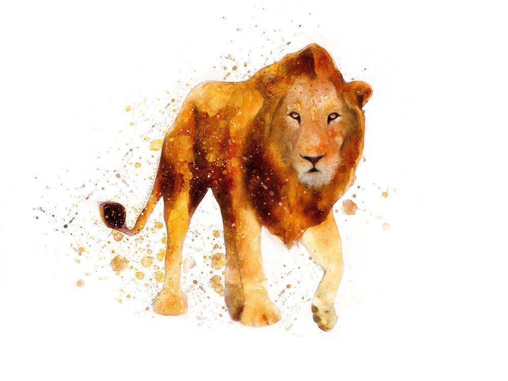 1000x750 Wildlife Watercolor Artwork Prints Whimsical Wild Artwork - Watercolor Wildlife