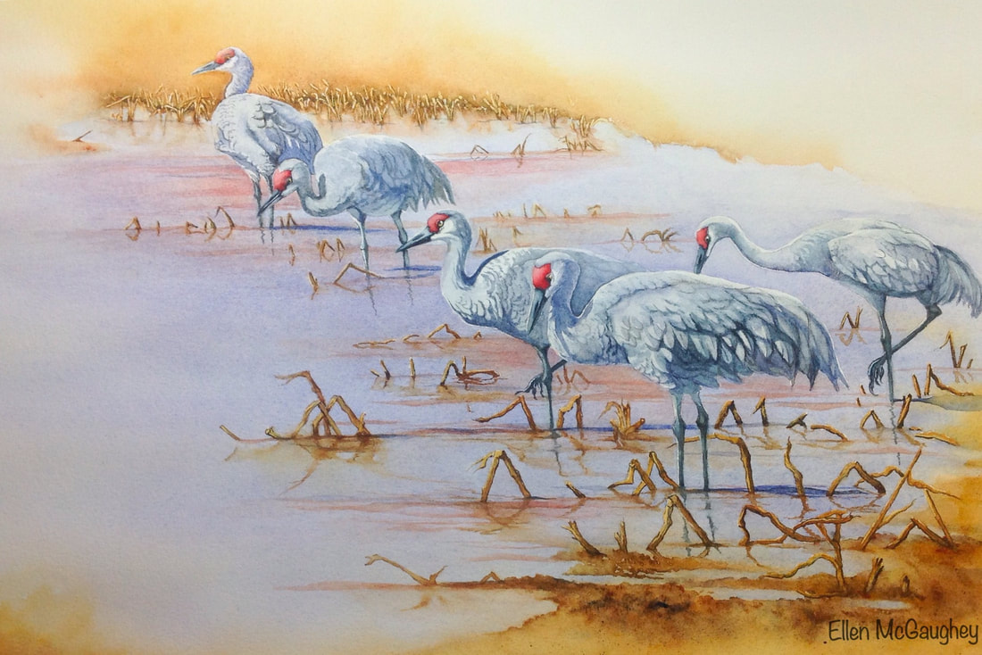 1100x734 Wildlife Watercolors And Acrylics, Pet Portraits - Watercolor Wildlife