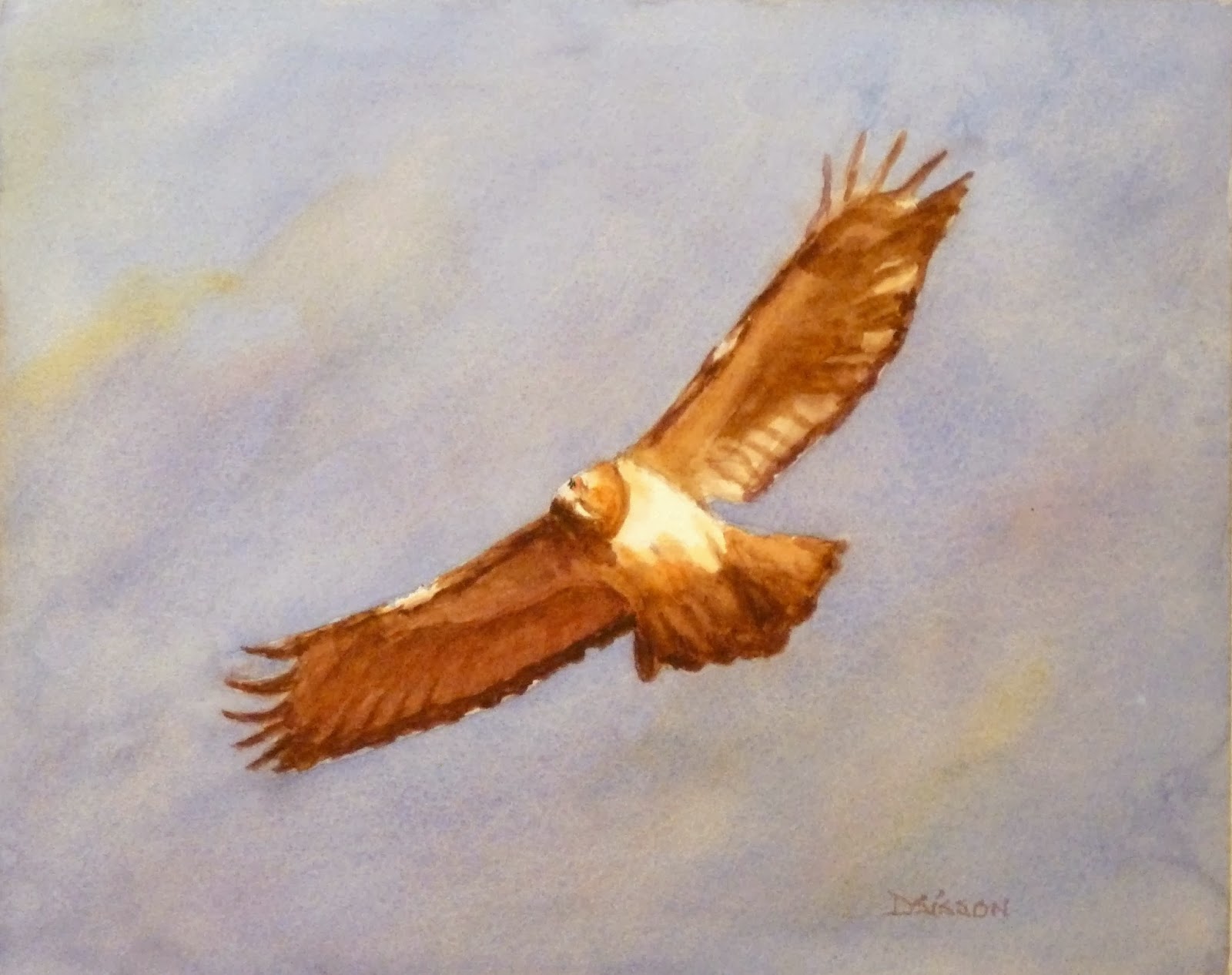 1600x1266 Daily Painting Projects Hawk In Winter Sky Watercolor Painting - Watercolor Wildlife