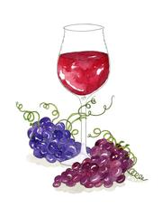 180x240 Red Wine Glass And Grapes Watercolor Art Print Marcella Kriebel - Watercolor Wine Glass