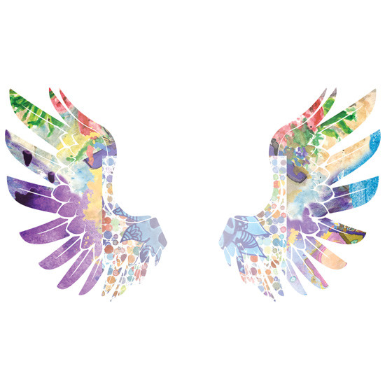 550x550 Entry - Watercolor Wings