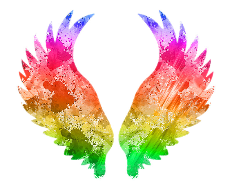 800x651 Entry - Watercolor Wings
