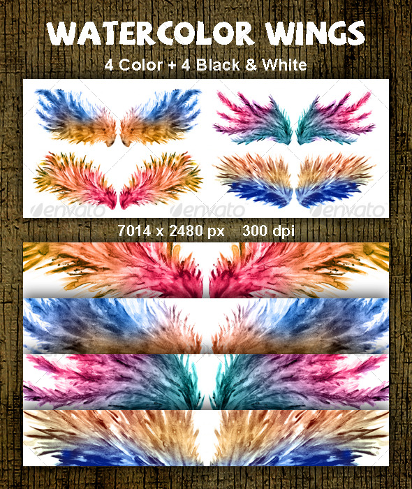 590x700 Watercolor Wings By Tomoshiuz Graphicriver - Watercolor Wings