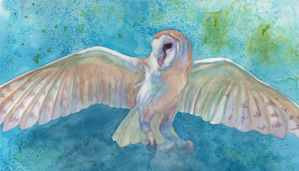 1024x587 Watercolor Wings By Novawuff - Watercolor Wings