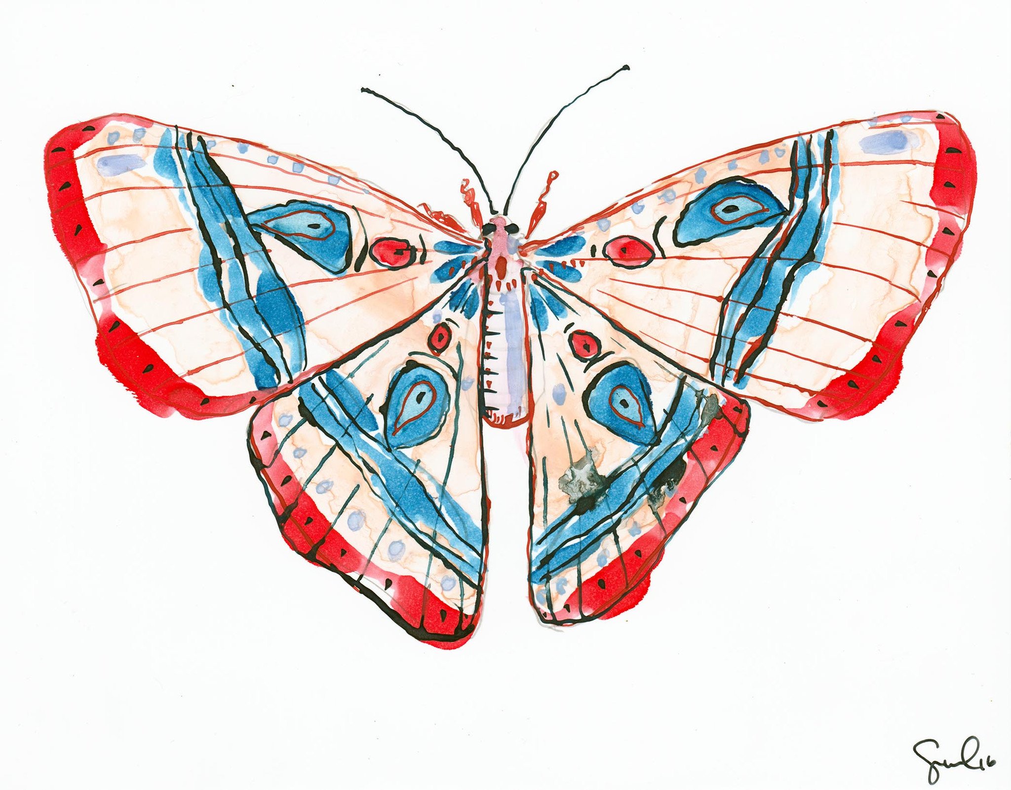 2048x1602 Cobalt And Crimson Luna Moth - Watercolor Wings