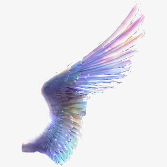 564x564 Colored Wings, Wings Clipart, Wing, Watercolor Wings Png Image And - Watercolor Wings