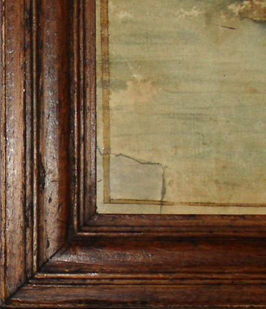 388x450 Natural History Art, Birds, Female Summer Duck Of Georgia, Antique - Watercolor Wood Stain