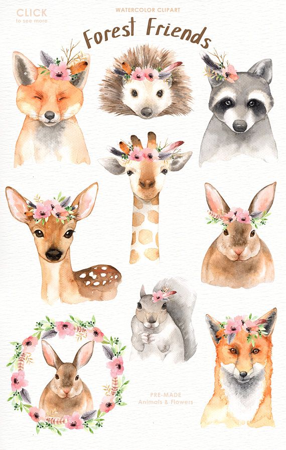 570x898 Forest Friends Watercolor Clip Art,woodland Animals, Kids Clipart - Watercolor Woodland Animals