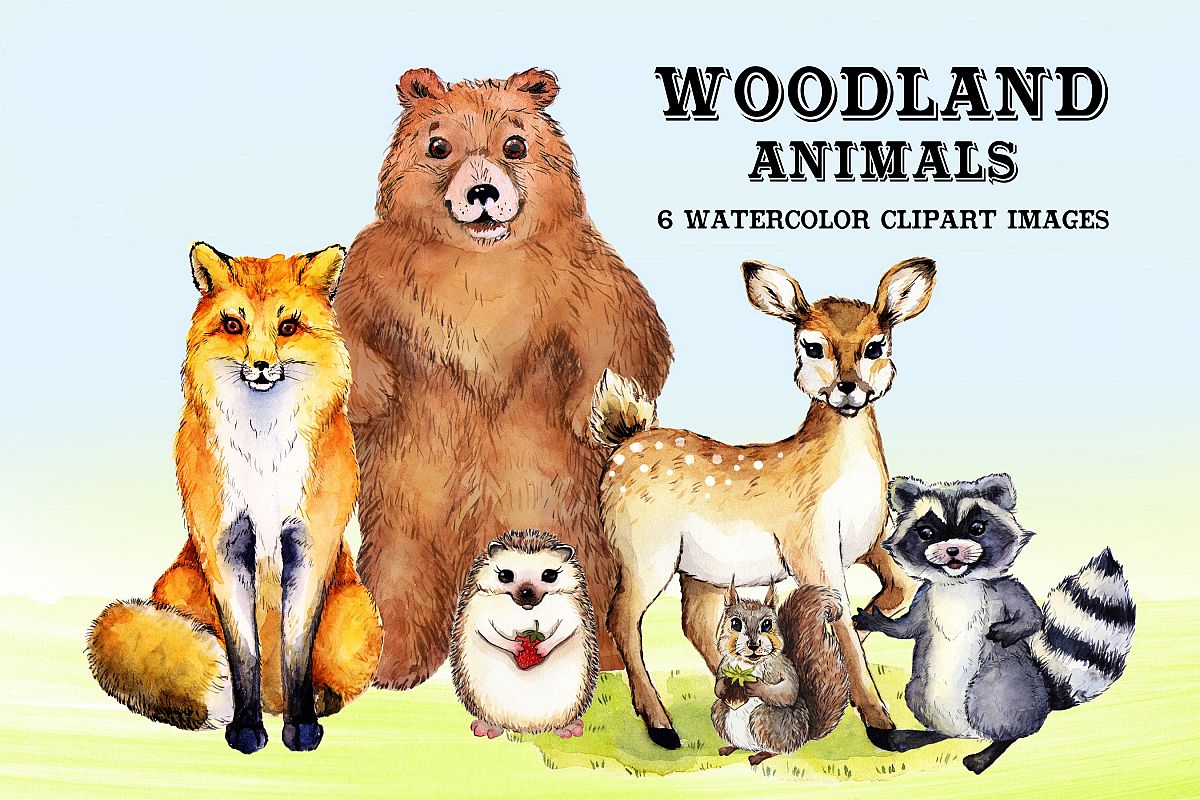 1200x800 Watercolor Woodland Animals - Watercolor Woodland Animals