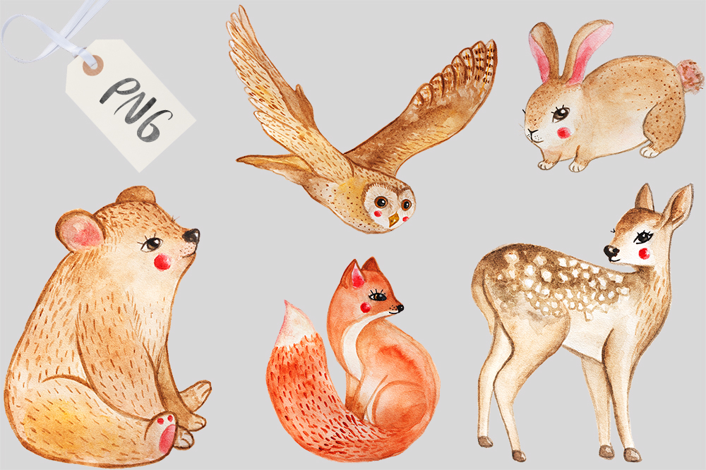 1000x666 Watercolor Woodland Animals By Miracles Everywhere - Watercolor Woodland Animals