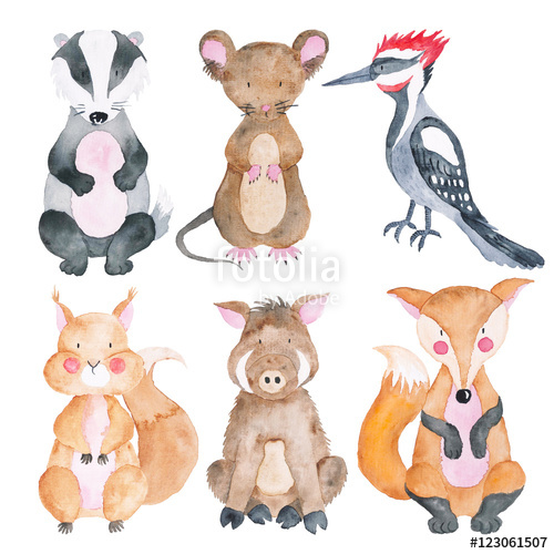 500x500 Woodland Animals Set Of Watercolor Illustrations Cute Animals - Watercolor Woodland Animals