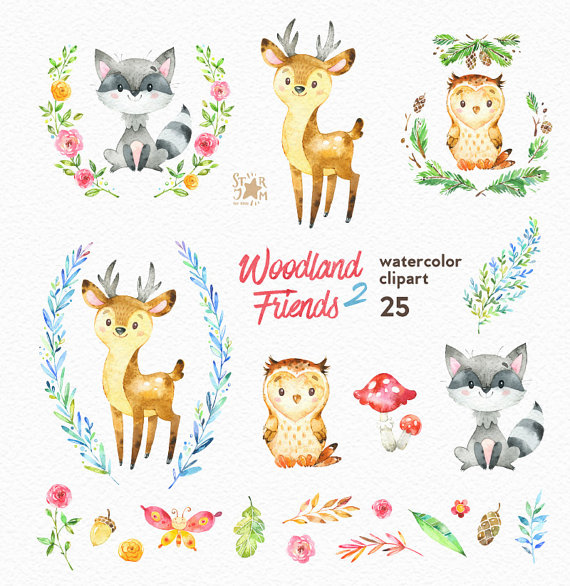 570x586 Woodland Friends 2. Watercolor Animals Clipart, Forest, Deer - Watercolor Woodland Animals