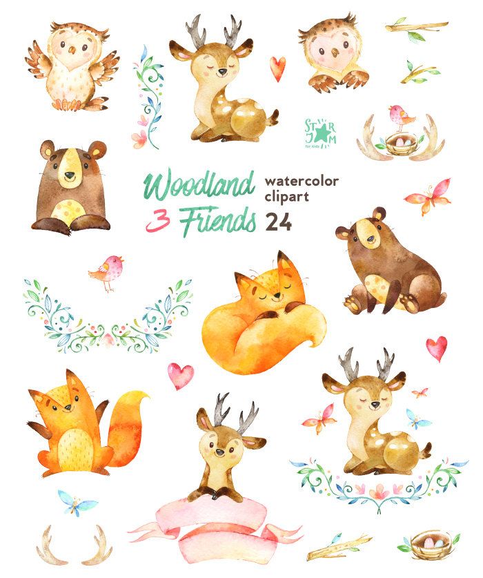 700x837 Woodland Friends 3. Watercolor Animals Clipart By Starjamforkids - Watercolor Woodland Animals