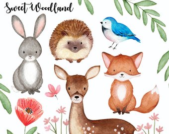 340x270 Woodland Watercolor Etsy - Watercolor Woodland Animals
