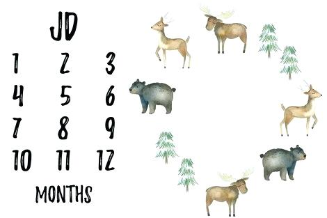 470x313 Blanket Animals Customized Watercolor Woodland Milestone Baby - Watercolor Woodland Animals