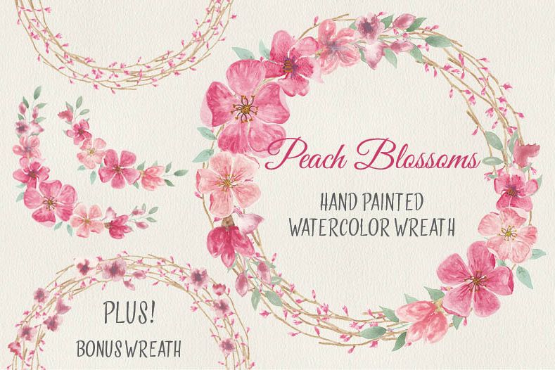 789x526 Watercolor Wreath Of Peach Blossoms - Watercolor Wreath