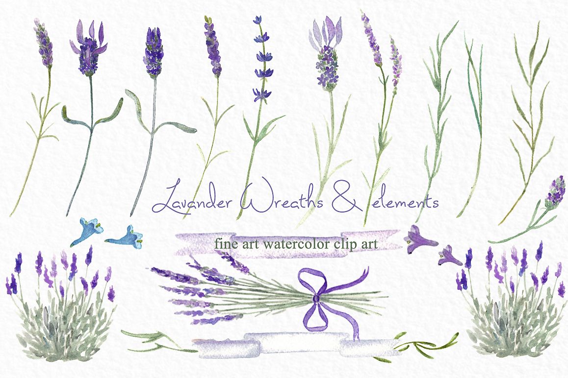 1158x772 Lavender Wreaths Watercolor Clipart - Watercolor Wreath Clipart