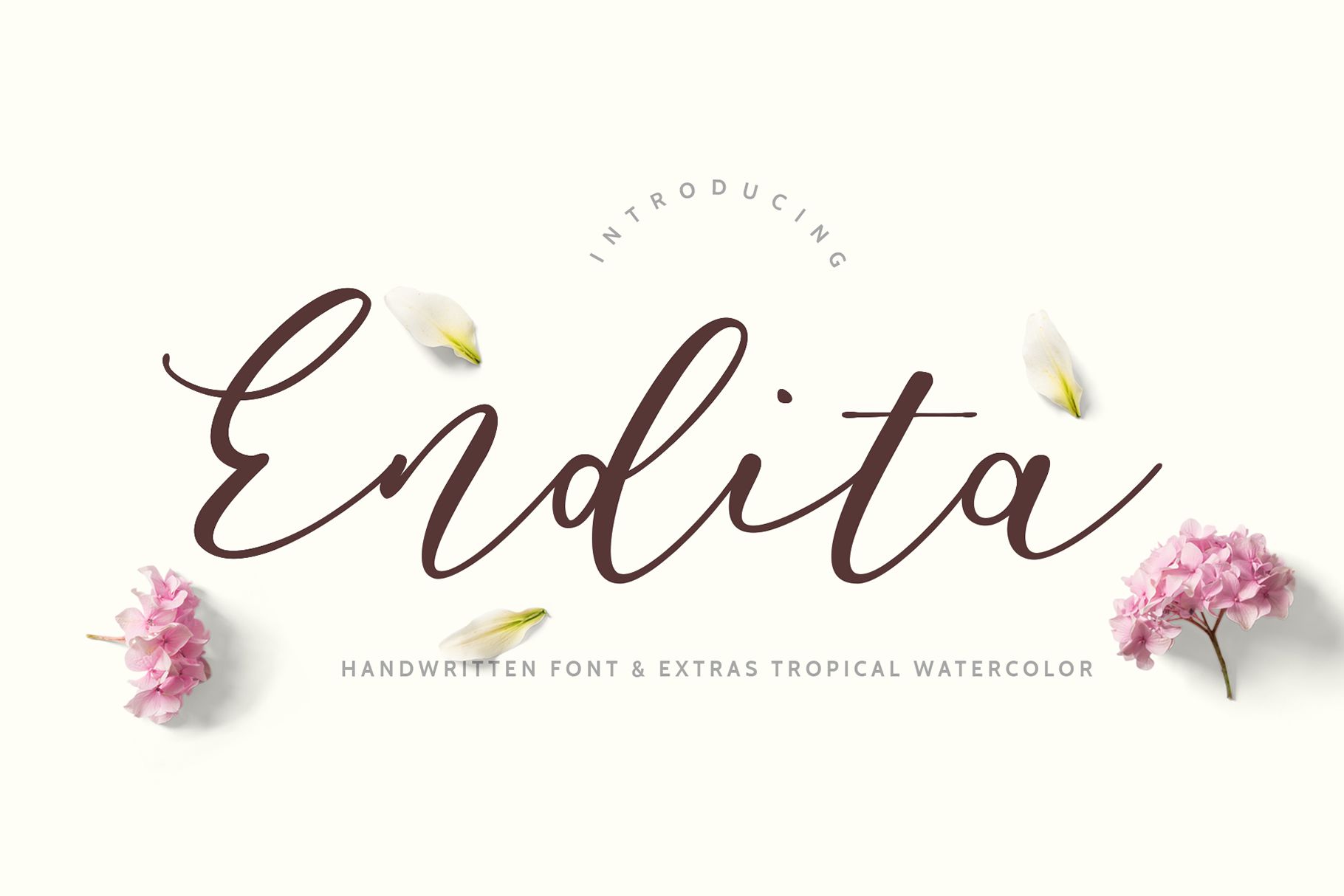 1820x1214 Endita Handwritten Font And Extras - Watercolor Writing Font