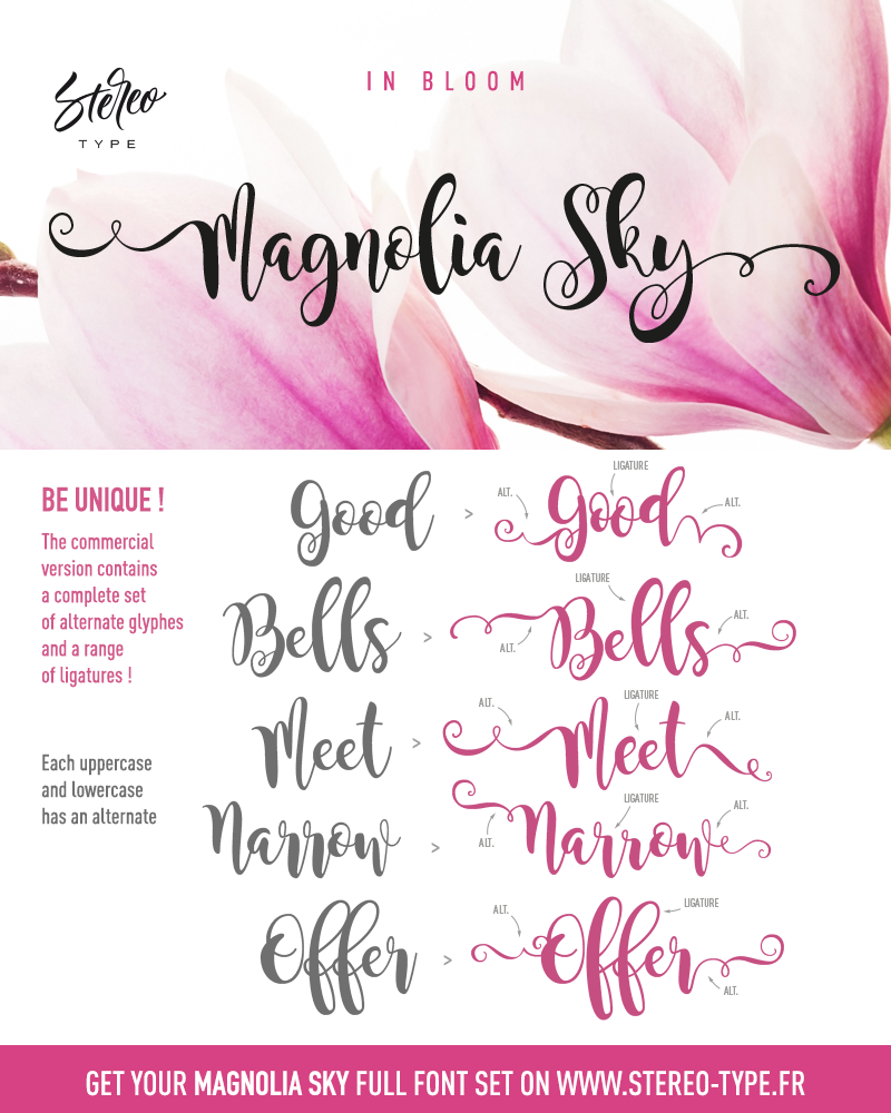 800x1000 Magnolia Sky Font - Watercolor Writing Font