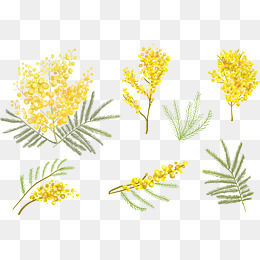 260x260 Small Yellow Flowers Png Images Vectors And Psd Files Free - Watercolor Yellow Flowers