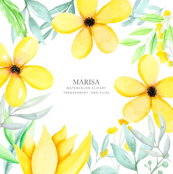 570x573 Clipart With Watercolor Yellow Flowers Leaves Watercolor All Etsy - Watercolor Yellow Flowers
